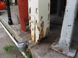 Termite Inspector CT Facts