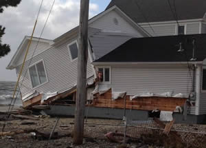 Termite Inspector CT Hurricane Sandy Pests