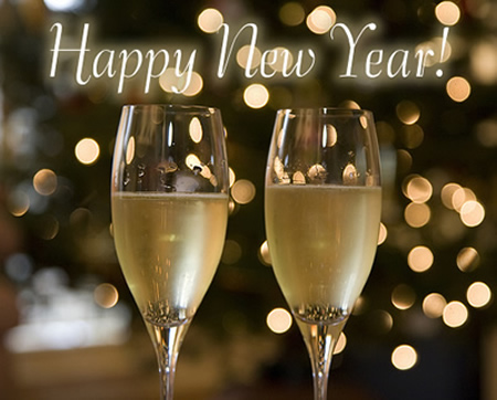 Termite Inspector CT  Happy New Year 2013